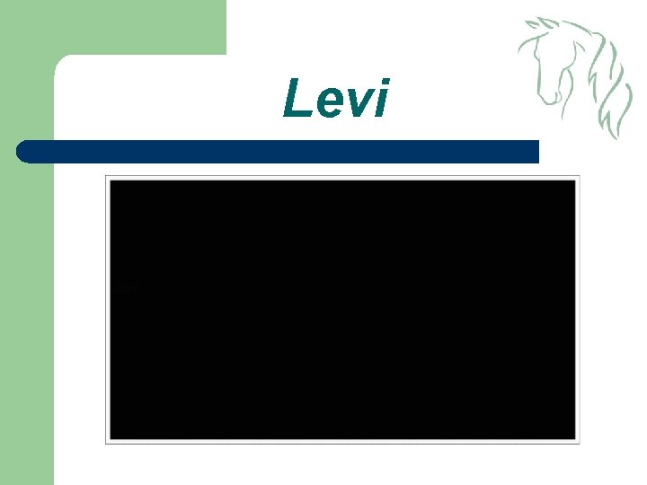 Levi 