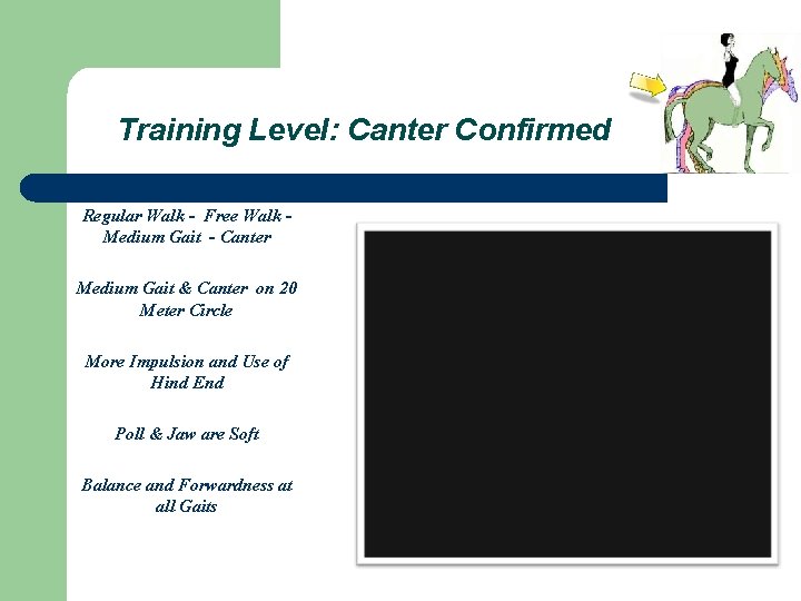 Training Level: Canter Confirmed Regular Walk - Free Walk Medium Gait - Canter Medium