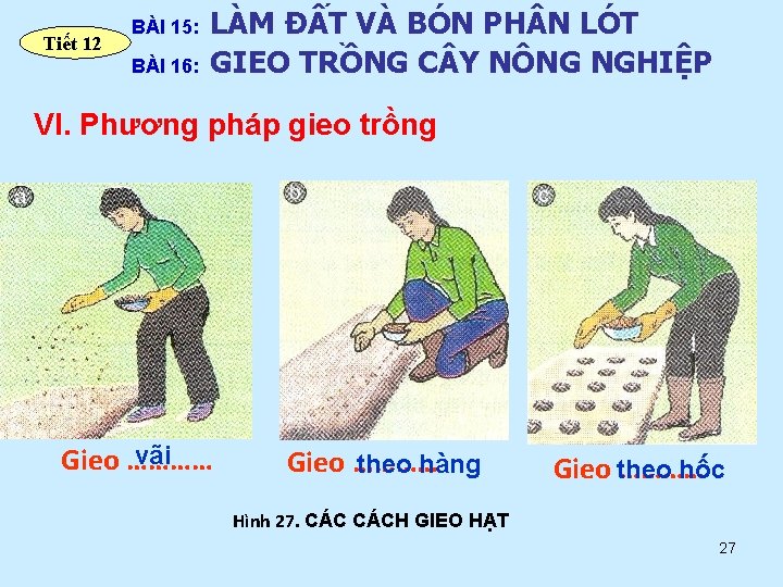 Tiết 12 BÀI 15: BÀI 16: LÀM ĐẤT VÀ BÓN PH N LÓT GIEO