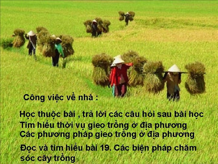 Công việc về nhà : Học thuộc bài , trả lời các câu hỏi