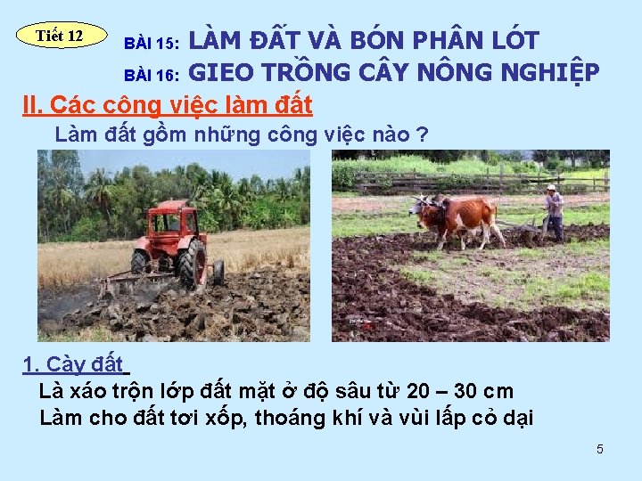 LÀM ĐẤT VÀ BÓN PH N LÓT BÀI 16: GIEO TRỒNG C Y NÔNG