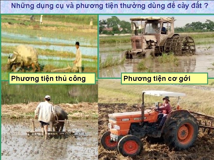 Những dụng cụ và phương tiện thường dùng để cày đất ? Quan sát