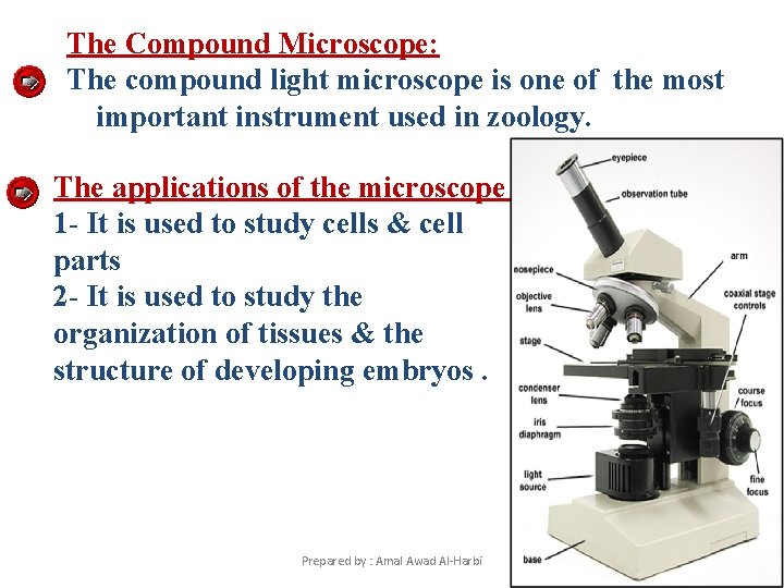 Compound Microscope View Of Cells Microscopy Cell Structure Prepared by Amal Awad AlHarbi