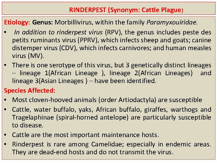 RINDERPEST (Synonym: Cattle Plague) Etiology: Genus: Morbillivirus, within the family Paramyxouiridae. • In addition