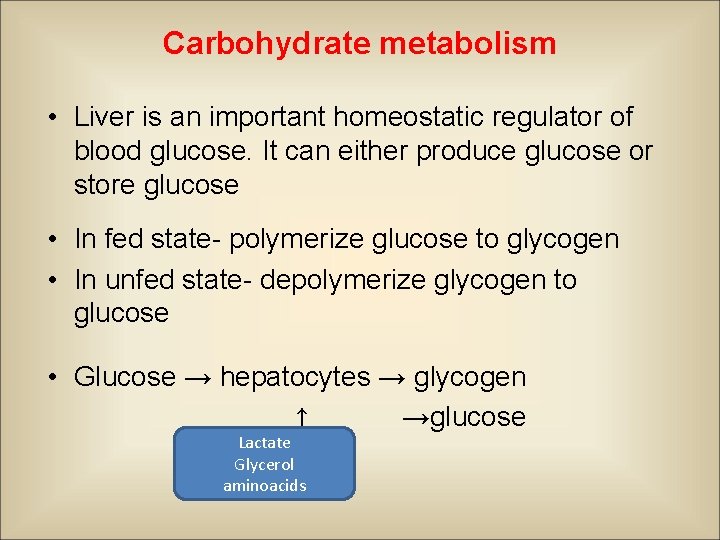 Carbohydrate metabolism • Liver is an important homeostatic regulator of blood glucose. It can