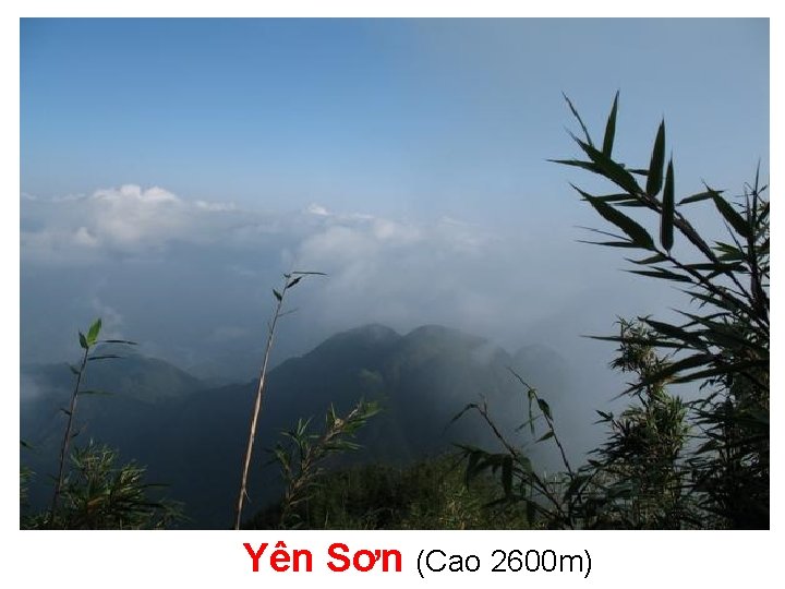 Yên Sơn (Cao 2600 m) 