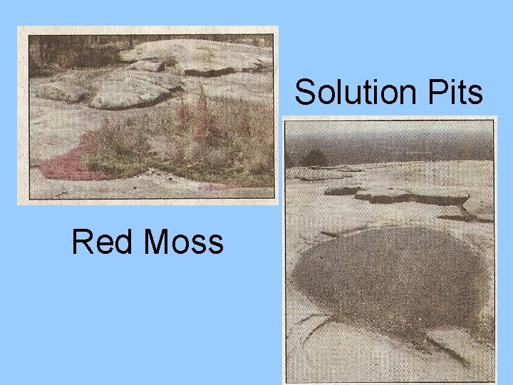 Solution Pits Red Moss 