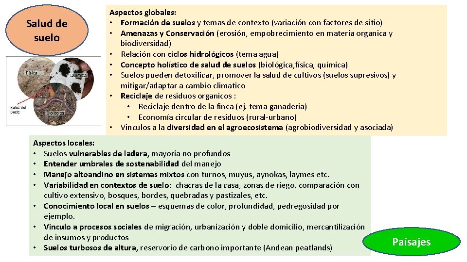 Salud de suelo Aspectos globales: • Formación de suelos y temas de contexto (variación