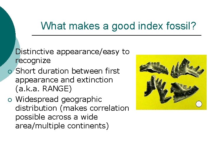 What makes a good index fossil? ¡ ¡ ¡ Distinctive appearance/easy to recognize Short