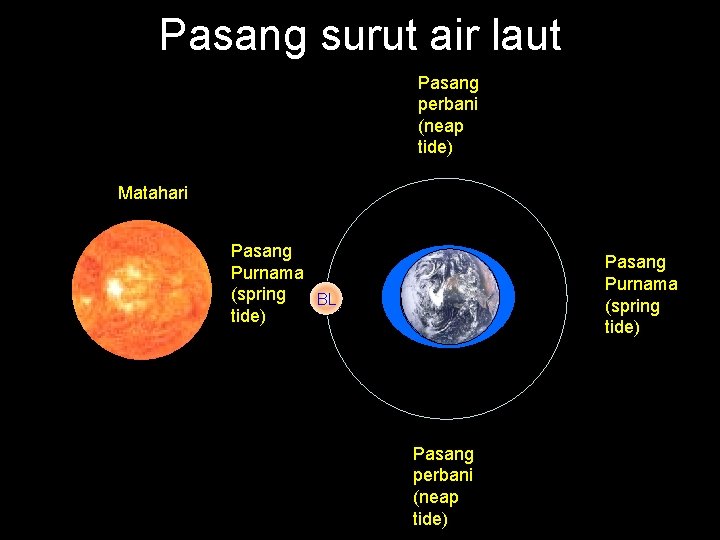 Pasang surut air laut Pasang perbani (neap tide) Matahari Pasang Purnama (spring BL tide)