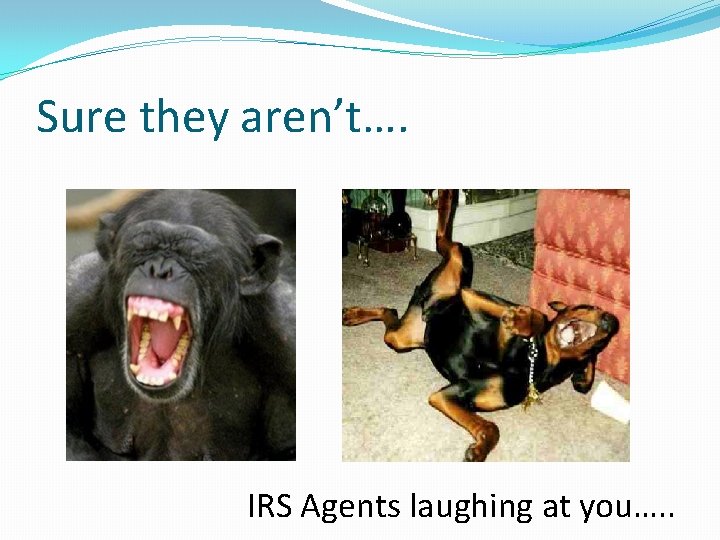 Sure they aren’t…. IRS Agents laughing at you…. . 