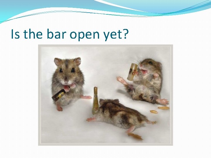 Is the bar open yet? 