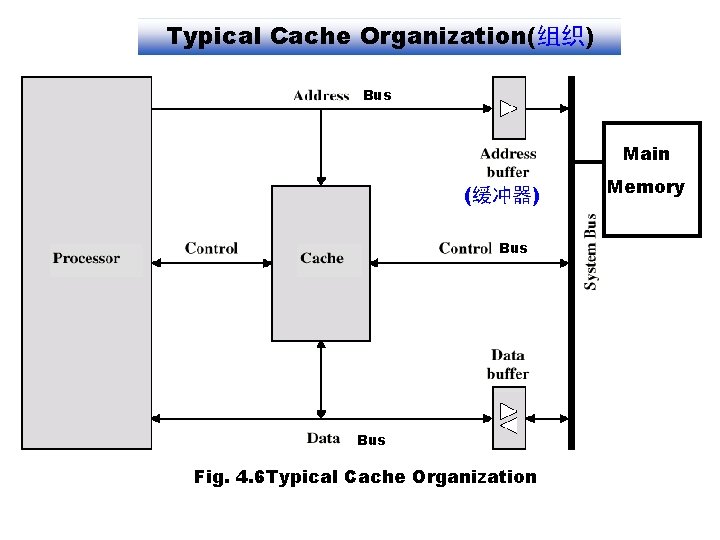 Typical Cache Organization(组织) Bus Main (缓冲器) Bus Fig. 4. 6 Typical Cache Organization Memory
