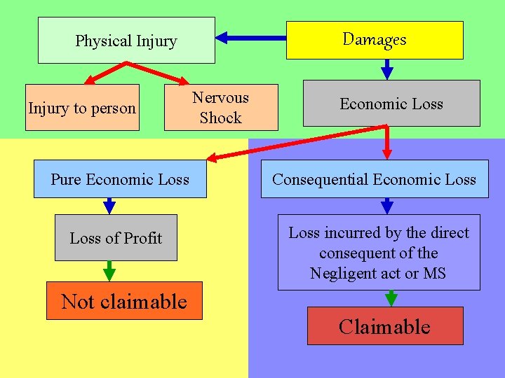 Damages Physical Injury to person Nervous Shock Economic Loss Pure Economic Loss Consequential Economic Damages Physical Injury to person Nervous Shock Economic Loss Pure Economic Loss Consequential Economic