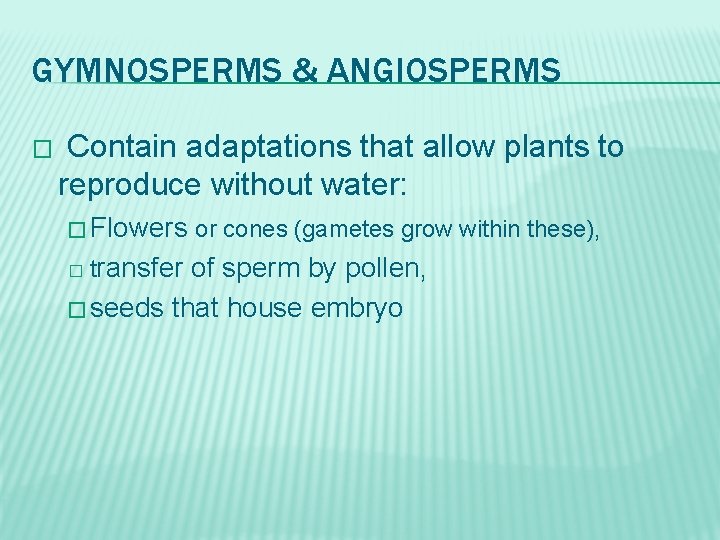 GYMNOSPERMS & ANGIOSPERMS � Contain adaptations that allow plants to reproduce without water: �