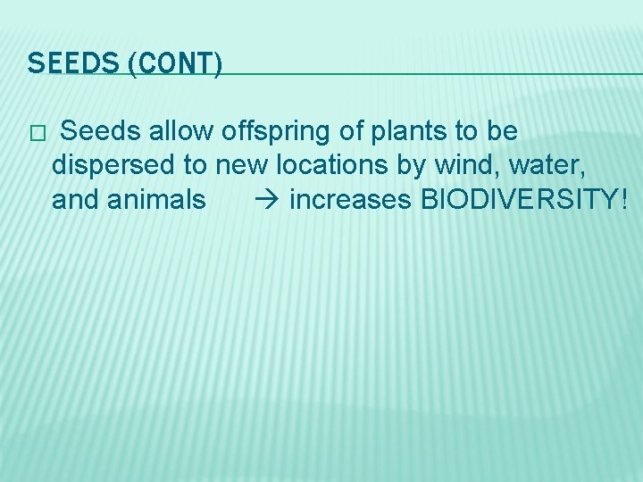SEEDS (CONT) � Seeds allow offspring of plants to be dispersed to new locations