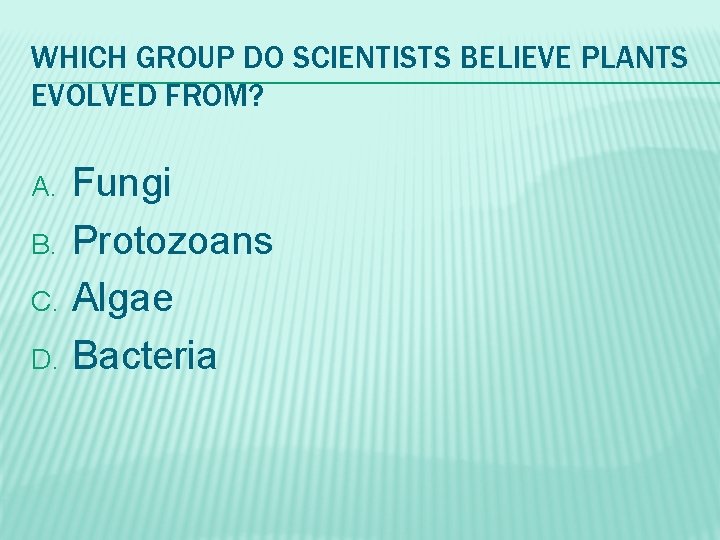 WHICH GROUP DO SCIENTISTS BELIEVE PLANTS EVOLVED FROM? A. B. C. D. Fungi Protozoans