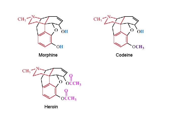 Morphine Heroin Codeine 