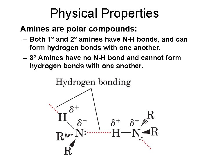 Physical Properties Amines are polar compounds: – Both 1° and 2° amines have N-H
