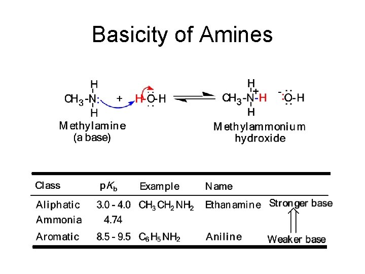 Basicity of Amines 