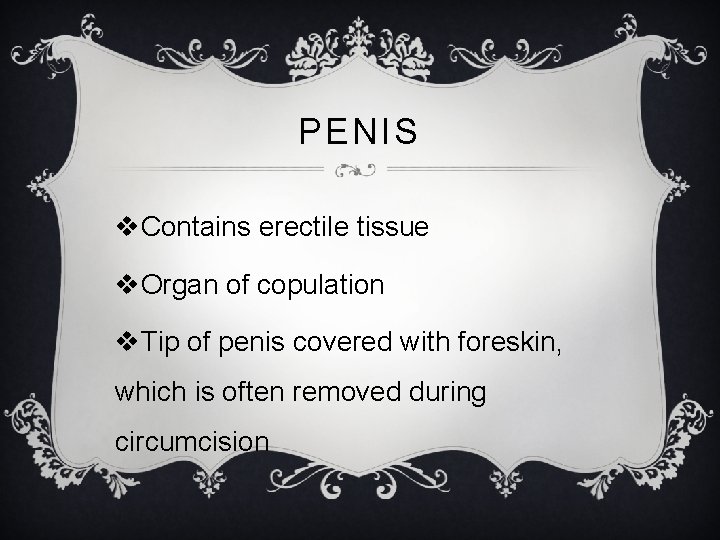 PENIS v. Contains erectile tissue v. Organ of copulation v. Tip of penis covered