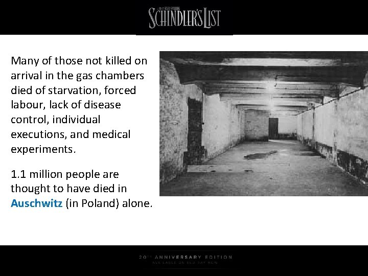 Many of those not killed on arrival in the gas chambers died of starvation,