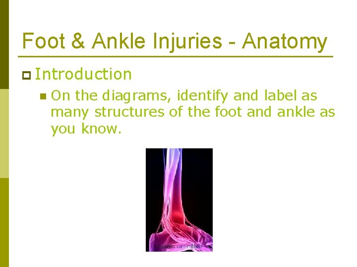 Foot & Ankle Injuries - Anatomy p Introduction n On the diagrams, identify and