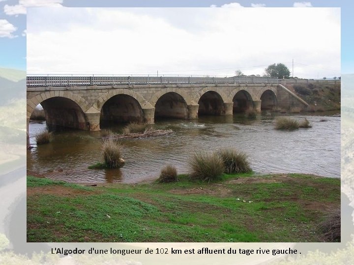 L'Algodor d'une longueur de 102 km est affluent du tage rive gauche. 