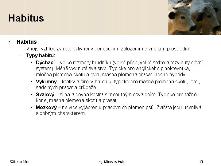 Habitus • Habitus – Vnější vzhled zvířete ovlivněný genetickým založením a vnějším prostředím. –