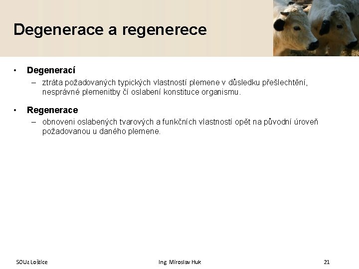 Degenerace a regenerece • Degenerací – ztráta požadovaných typických vlastností plemene v důsledku přešlechtění,