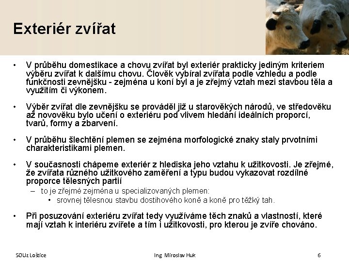 Exteriér zvířat • V průběhu domestikace a chovu zvířat byl exteriér prakticky jediným kriteriem