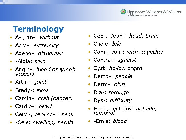 Terminology • A- , an-: without • Cep-, Ceph-: head, brain • Acro-: extremity