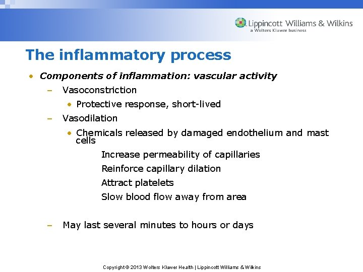 The inflammatory process • Components of inflammation: vascular activity – Vasoconstriction • Protective response,
