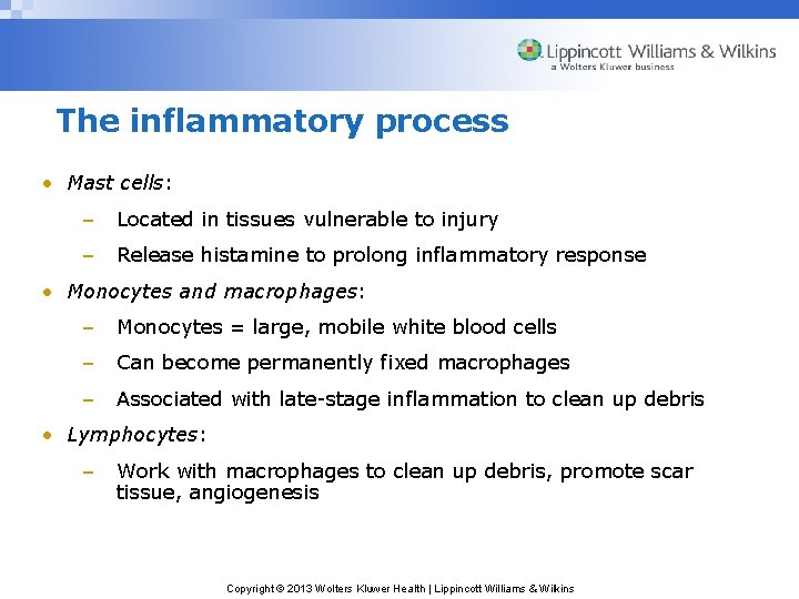 The inflammatory process • Mast cells: – Located in tissues vulnerable to injury –