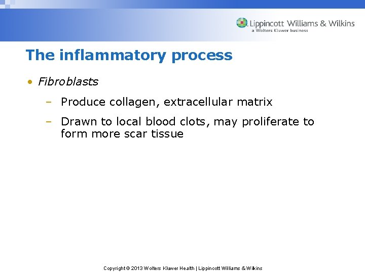 The inflammatory process • Fibroblasts – Produce collagen, extracellular matrix – Drawn to local