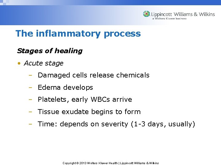 The inflammatory process Stages of healing • Acute stage – Damaged cells release chemicals