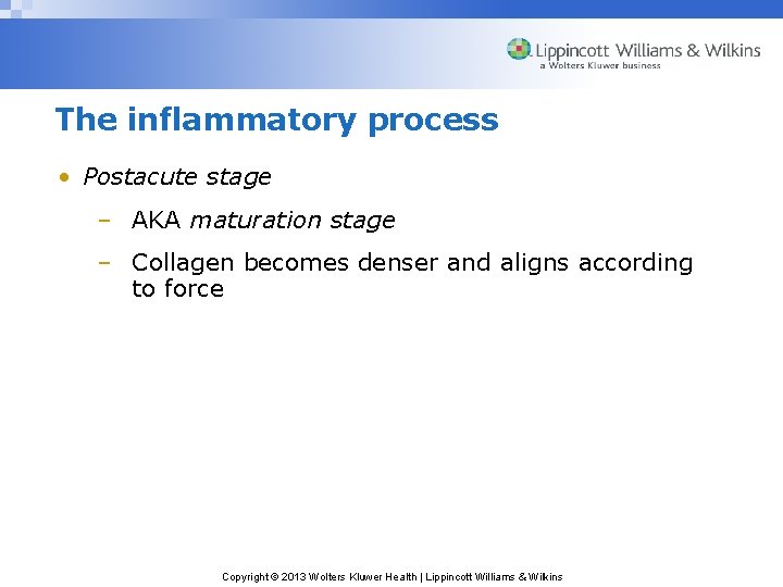 The inflammatory process • Postacute stage – AKA maturation stage – Collagen becomes denser