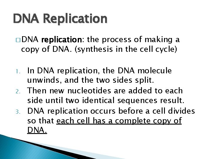 DNA Replication � DNA replication: the process of making a copy of DNA. (synthesis