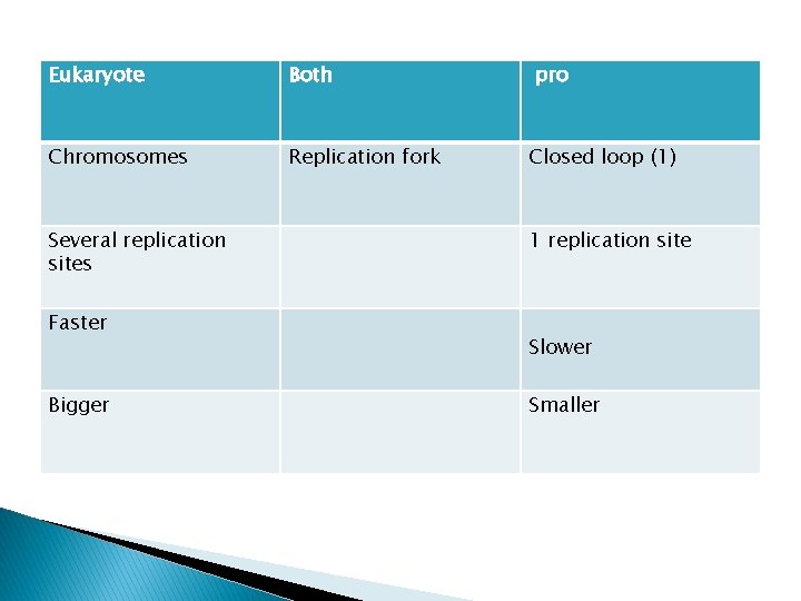 Eukaryote Both Chromosomes Replication fork Several replication sites Faster Bigger pro Closed loop (1)