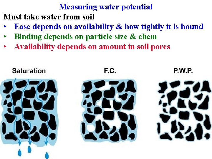 Measuring water potential Must take water from soil • Ease depends on availability &