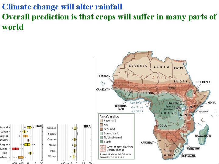 Climate change will alter rainfall Overall prediction is that crops will suffer in many