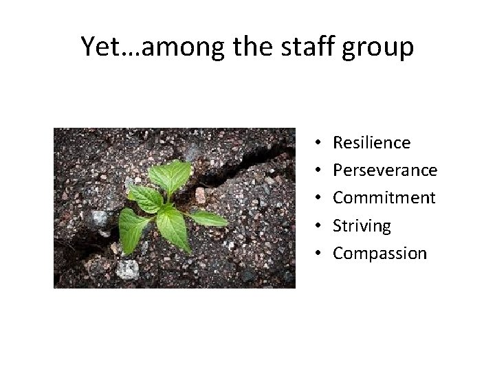 Yet…among the staff group • • • Resilience Perseverance Commitment Striving Compassion 