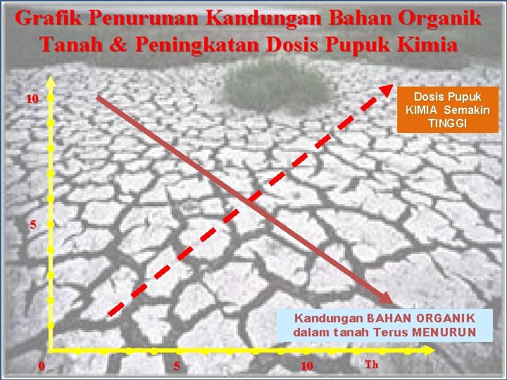 Grafik Penurunan Kandungan Bahan Organik Tanah & Peningkatan Dosis Pupuk Kimia Dosis Pupuk KIMIA