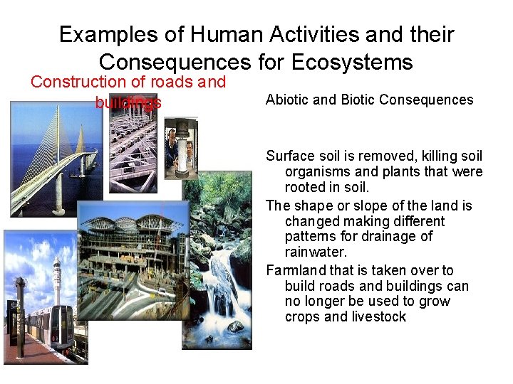 Examples of Human Activities and their Consequences for Ecosystems Construction of roads and buildings