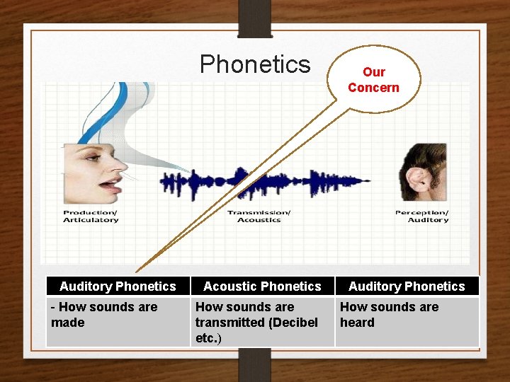 Phonetics Auditory Phonetics - How sounds are made Acoustic Phonetics How sounds are transmitted