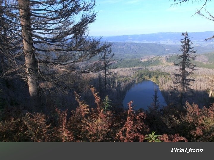 Plešné jezero 