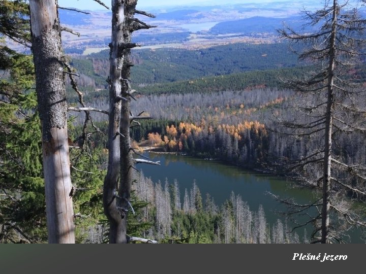 Plešné jezero 