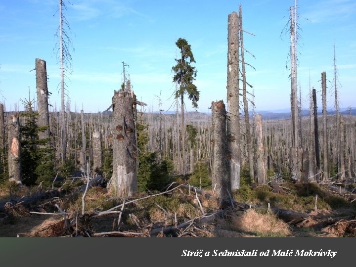Stráž a Sedmiskalí od Malé Mokrůvky 