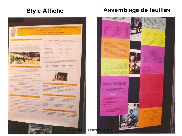 Style Affiche Assemblage de feuilles PVN – Ecole Doctorale SST 2008 Style Affiche Assemblage de feuilles PVN – Ecole Doctorale SST 2008