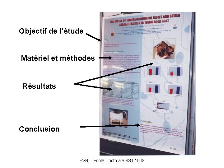 Objectif de l’étude Matériel et méthodes Résultats Conclusion PVN – Ecole Doctorale SST 2008 Objectif de l’étude Matériel et méthodes Résultats Conclusion PVN – Ecole Doctorale SST 2008